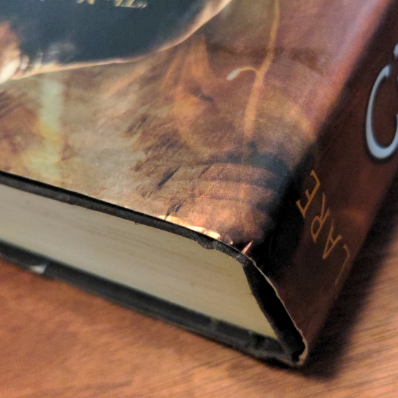 The Mortal Instruments Books 1,2 &3 - Picture 13 of 13